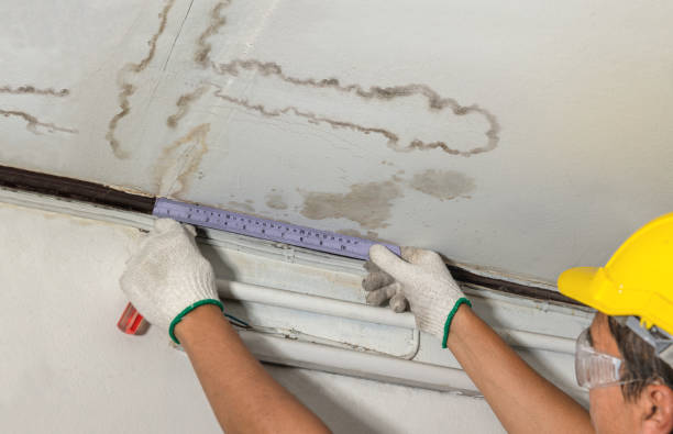 Reliable Mold Remediation contractor in Easton, PA by Local Water Damage Repair